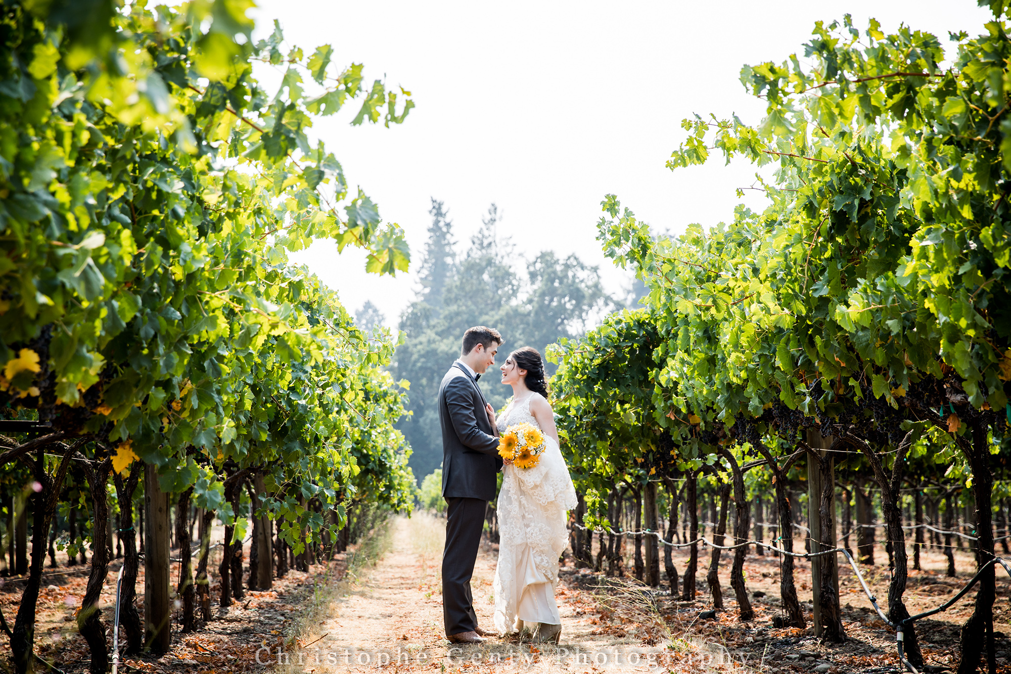 This Kenwood Ranch of Sonoma at the Kenwood Farms - Kenwood, CA - Wedding Photography image open in new tab